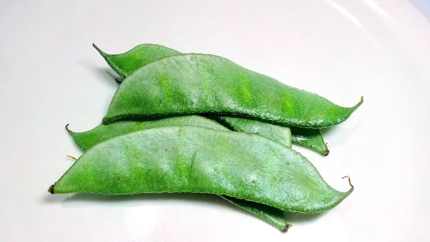 Fresh Flat Beans/ Avarakkai (Indian Broad Beans) 500g