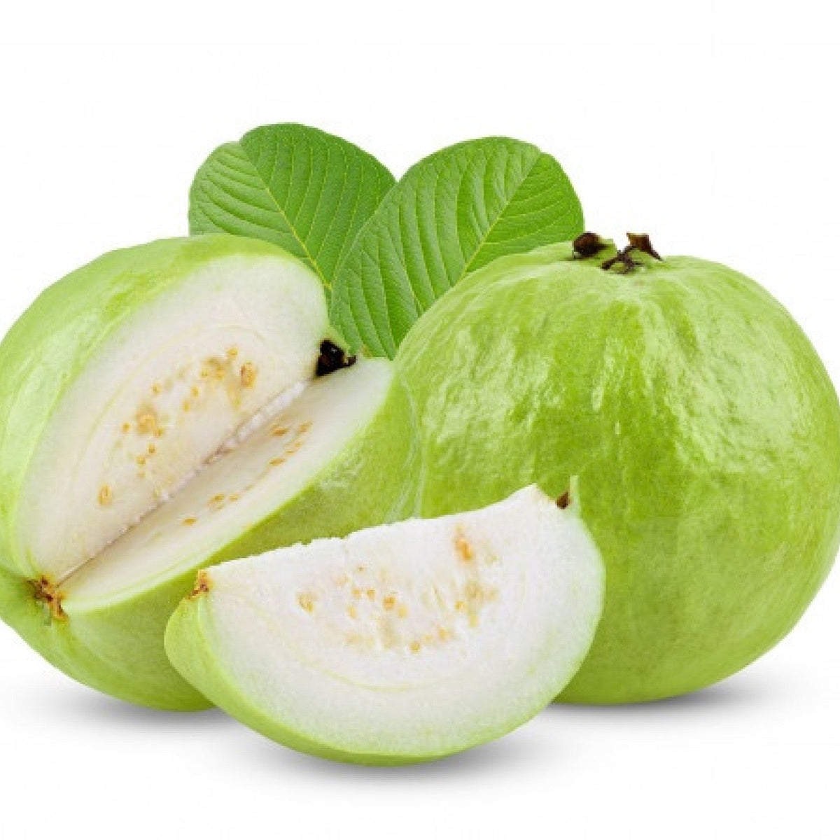 Fresh Guava / Amroodh / Pera / Koyya 2 Pieces (>500g) Generic