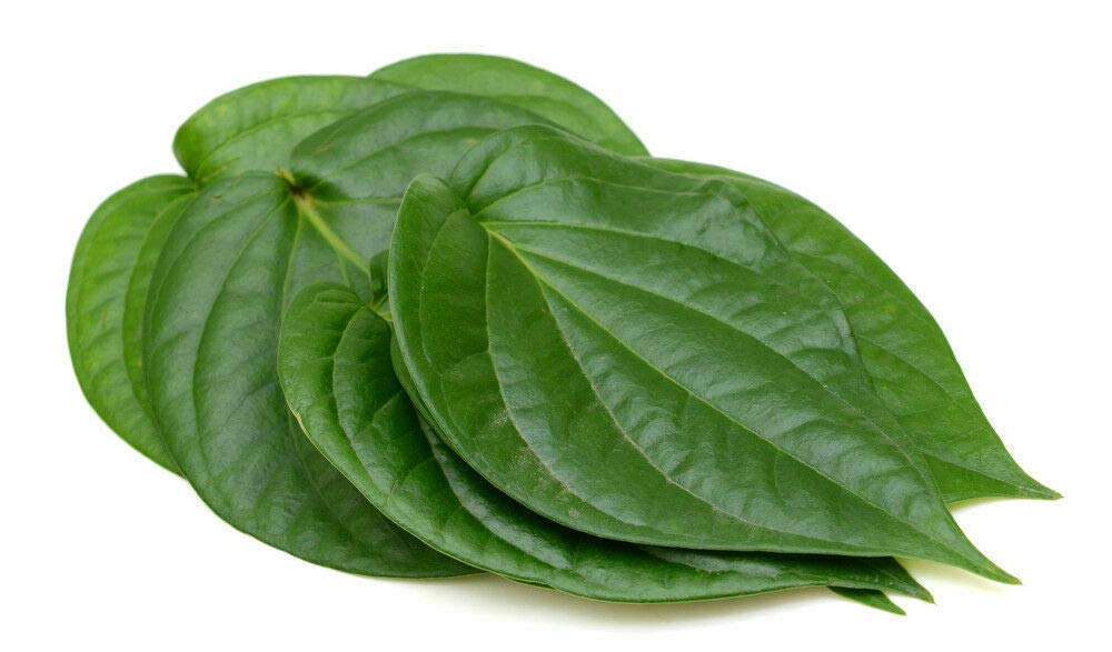 Fresh Betel Leaves / Paan ka Pattha/ Vettrilai (Large) - 5 pieces