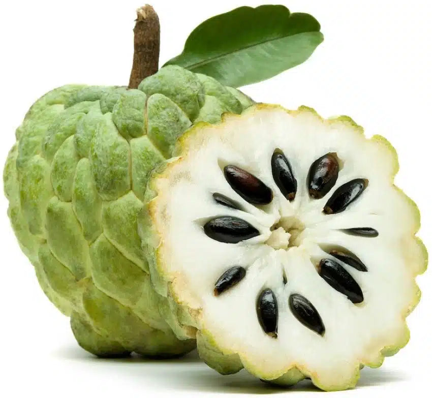 Fresh Custard Apple / Sitaphal / Sita Pazham / Sharifa (1 Piece) 350 - 450g
