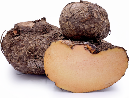 Fresh Suran / Elephant Foot Yam (500g) Generic