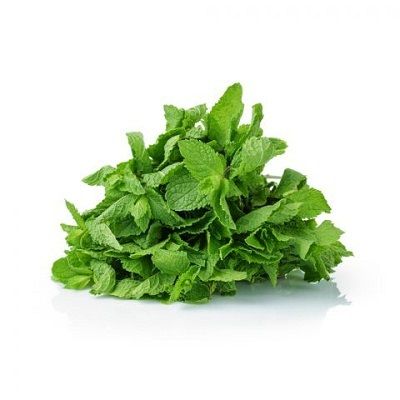 Fresh Mint / Pudina - 1 Bunch (~100g)