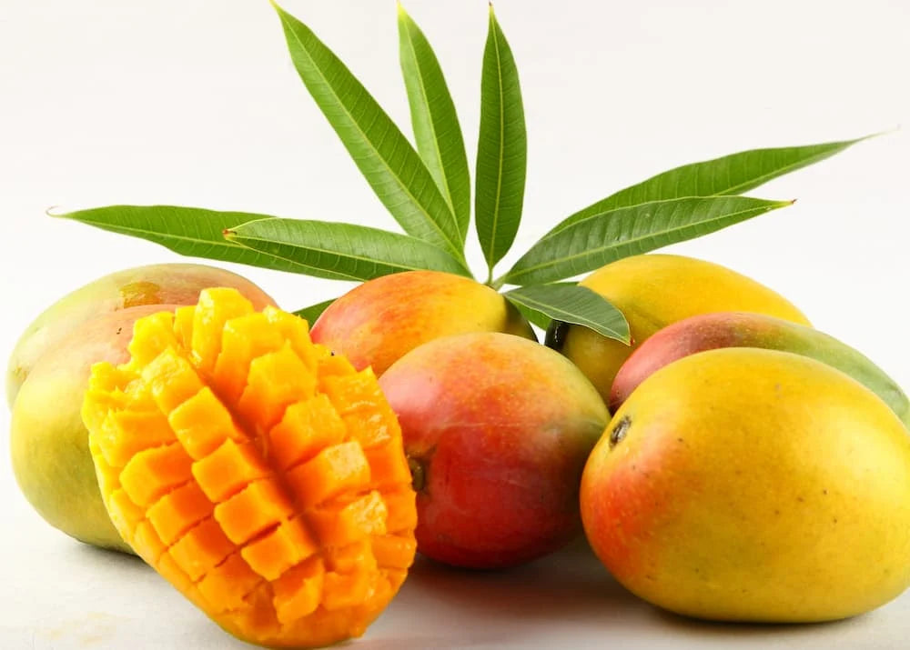 Fresh Alphonso Mangoes 5-6 Pieces (1.1~1.2Kg)