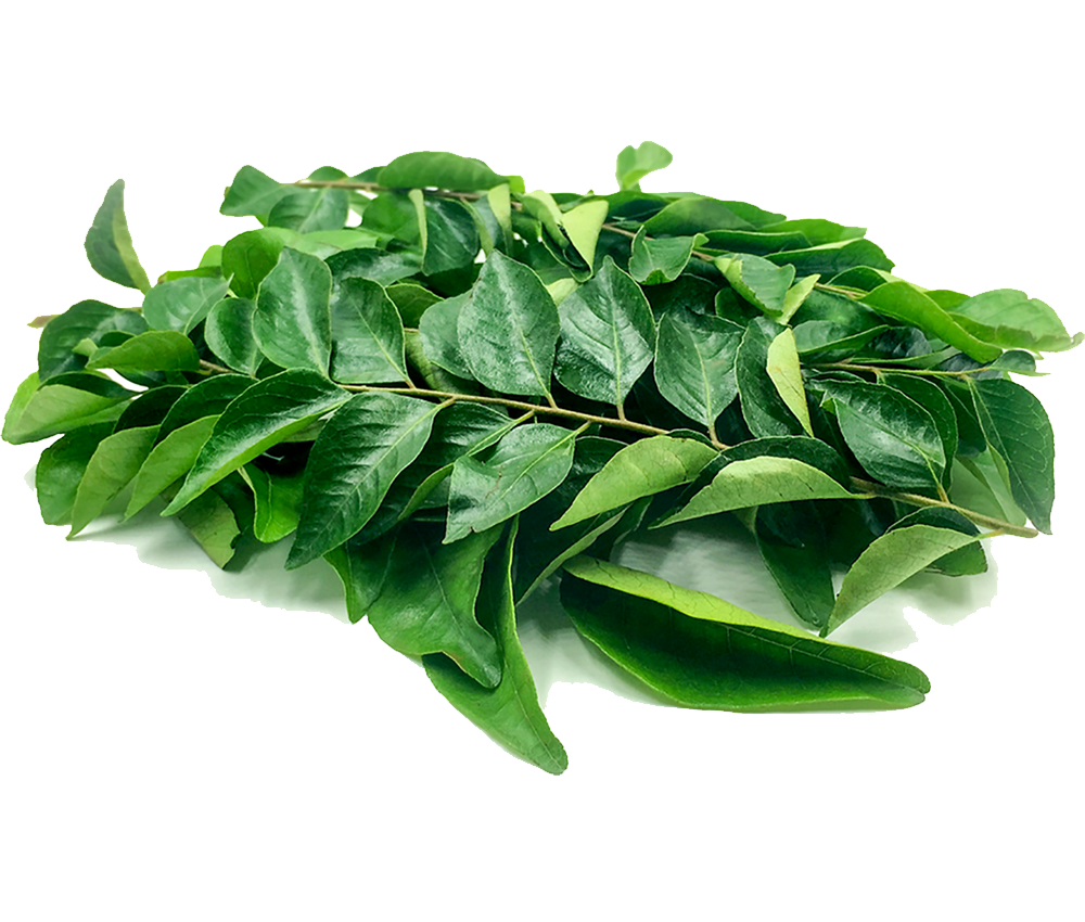 Fresh Curry Leaves / Karuvepilai - 30g