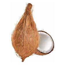 Fresh Coconut with Cap for Pooja 1 Piece