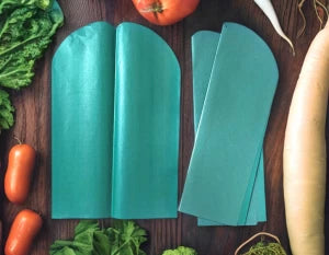 Paper Banana Leaves - Set of 10