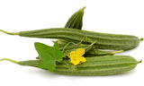 Fresh Ridge Gourd / Thurai / Peerkankaai - Piece (220g - 280g)