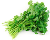 Free Fresh Coriander / Dhaniya / Malliyilai - 1 Bunch (~125g)