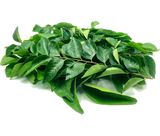 Fresh Curry Leaves / Karuvepilai - 30g
